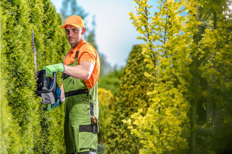 Gartenpflege 11 Professional Services Wien - Gartendekoraktion - Bild 1