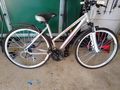 Herren Damen Fahrrad - Einr�der & Spezialr�der - Bild 1