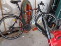 Herren Damen Fahrrad - Einr�der & Spezialr�der - Bild 2