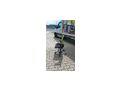 Drehsessel Top Hersteller Netzlehne - B�rosessel - Bild 2