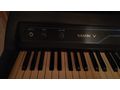 Fender Rhodes Mark V - Keyboards & E-Pianos - Bild 2