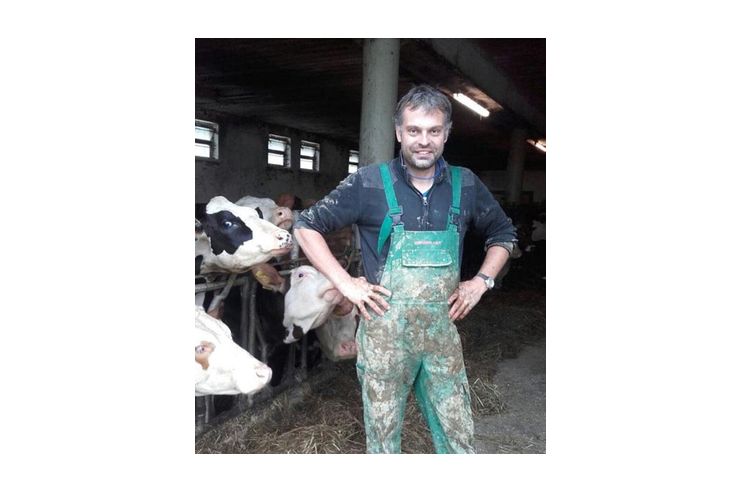 Zass Stallbodensanierung - Reparaturen & Handwerker - Bild 1