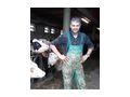 Zass Stallbodensanierung - Reparaturen & Handwerker - Bild 1