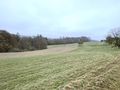 Grundst�cke landwirtschaftliche Nutzung - Grundst�ck kaufen - Bild 2