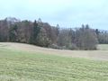 Grundst�cke landwirtschaftliche Nutzung - Grundst�ck kaufen - Bild 4
