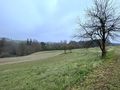Grundst�cke landwirtschaftliche Nutzung - Grundst�ck kaufen - Bild 5