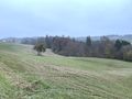 Grundst�cke landwirtschaftliche Nutzung - Grundst�ck kaufen - Bild 1