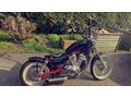 Suzuki Intruder Bobber Chopper - Suzuki - Bild 9