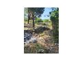 Baugrundst�ck Kroatien Dalmatien Grundst�ck - Grundst�ck kaufen - Bild 5