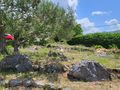 Baugrundst�ck Kroatien Dalmatien Grundst�ck - Grundst�ck kaufen - Bild 7