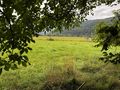 Pachtgrundst�ck wohnen gewerbliche Nutzung - Grundst�ck mieten - Bild 4