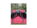 Massimo Dressursattel - S�ttel, Unterlagen & Zubeh�r - Bild 2