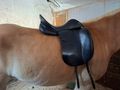 Dressursattel prestige modena - S�ttel, Unterlagen & Zubeh�r - Bild 12