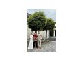 Saxophonist Agape Geburtstag Silvester - Musik, Foto & Kunst - Bild 3
