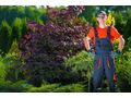 Gartenservice Wien Umgebung - Gartendekoraktion - Bild 1