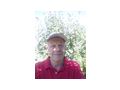 Hilfe Gartenarbeit - Jobs - Bild 2
