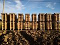 Brennholz Buche Trocken - Brennholz & Pellets - Bild 3