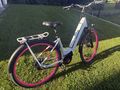 Ebike Kraftstoff bestens - Elektro Fahrr�der (E-Bikes) - Bild 1