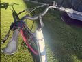 Ebike Kraftstoff bestens - Elektro Fahrr�der (E-Bikes) - Bild 4