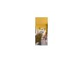 TOP Ferienwohnung Spanien Andalusien - Wohnung mieten - Bild 17