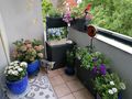 Verkaufe 5 Zimmerwohnung Zentrum Hard - Wohnung kaufen - Bild 1