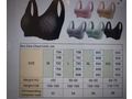 Nahtlose Push Up Bhs - Cup B / 40-42 / M - Bild 2