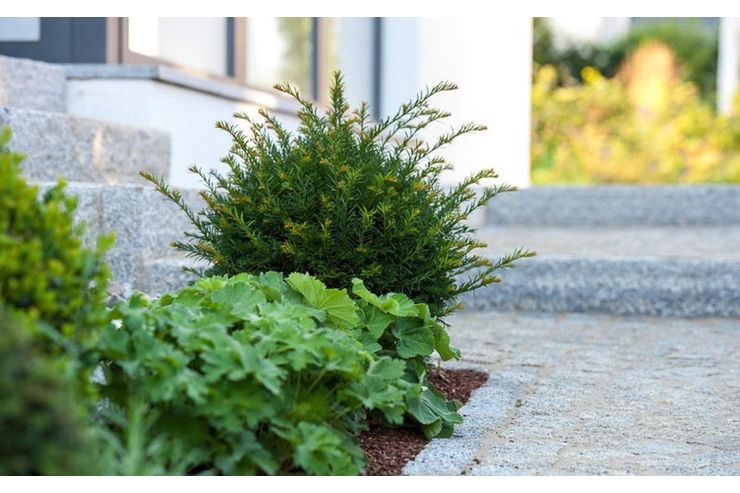 Gartengestaltung h�chstem Niveau - Gartendekoraktion - Bild 1