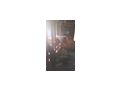 Einst�llpl�tze OFFENSTALL famili�r gef�hrti - Einstellpl�tze - Bild 1