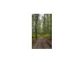 Einst�llpl�tze OFFENSTALL famili�r gef�hrti - Einstellpl�tze - Bild 4
