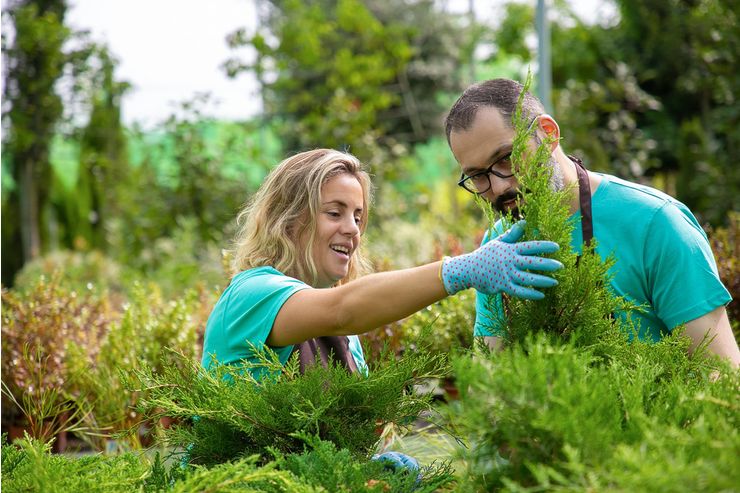 Gartenpflege Wien Umgebung - Gartendekoraktion - Bild 1
