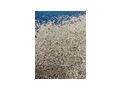 Blau Graue Teppichfliesen PROJEKTQUALIT�T - Teppiche - Bild 2