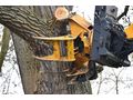 Professionelle Baumpflege Wien - Gartendekoraktion - Bild 4