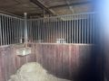 16 Pferdeboxen 3 x 3 m verkaufen - Unterst�nde & Z�une - Bild 2