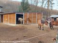 Pferdestall Au�enboxen Paddock - Einstellpl�tze - Bild 5