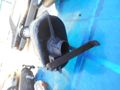 Auspuffschalld�mpfer De Tomaso Pantera - Auspuff - Bild 8