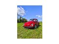 VW K�fer - Autos VW - Bild 1