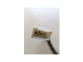 Z�ndschloss Schl�ssel Ferrari 456 550 - Elektrik & Steuerger�te - Bild 2