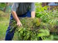Herbstpflege Garten - Gartendekoraktion - Bild 1