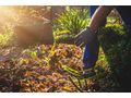 Herbstpflege Garten - Gartendekoraktion - Bild 2