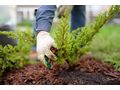 Herbstpflege Garten - Gartendekoraktion - Bild 5