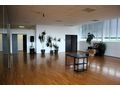 Mehrzweckr�ume Tanzschule Kindergarten - Gewerbeimmobilie mieten - Bild 2