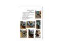 TV Stuhl Lederlook komfortable - Sofas & Sitzm�bel - Bild 10