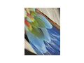R�ucherf�cher Feder F�cher Smudge Esoterik - Antiquit�ten, Sammeln & Kunstwerke - Bild 3