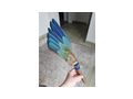 R�ucherf�cher Feder F�cher Smudge Esoterik - Antiquit�ten, Sammeln & Kunstwerke - Bild 5