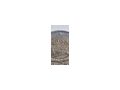 Eurom�nzen - Euros - Bild 4