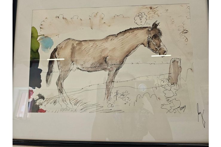 Bild Pferd Aquarell Tusche - Gem�lde & Zeichnungen - Bild 1