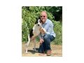 Link IHR Gef�hrte - Mischlingshunde - Bild 5