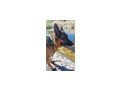 Chamelot NOTFALL �sterreich - Mischlingshunde - Bild 6