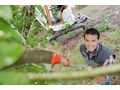 Gartenpflege Profi F�r Ihre gr�ne Oase - Gartendekoraktion - Bild 2