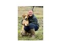Bosko SEINE Familie gl�cklich - Mischlingshunde - Bild 1